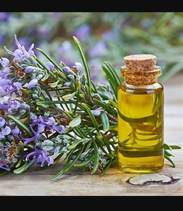Rosemary Oil – 100% Pure & Natural | Shifa Herbals